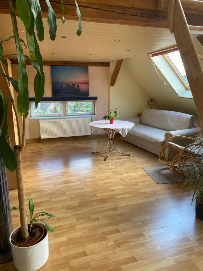 Helles Und Charmantes Loft Mit Herrlichem Blick Дрезден Экстерьер фото
