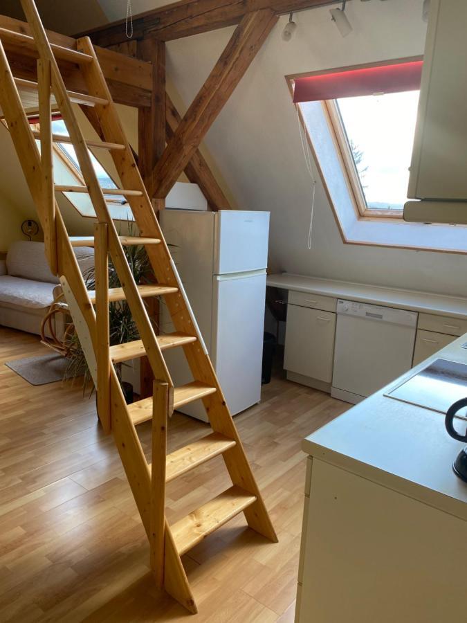 Helles Und Charmantes Loft Mit Herrlichem Blick Дрезден Экстерьер фото