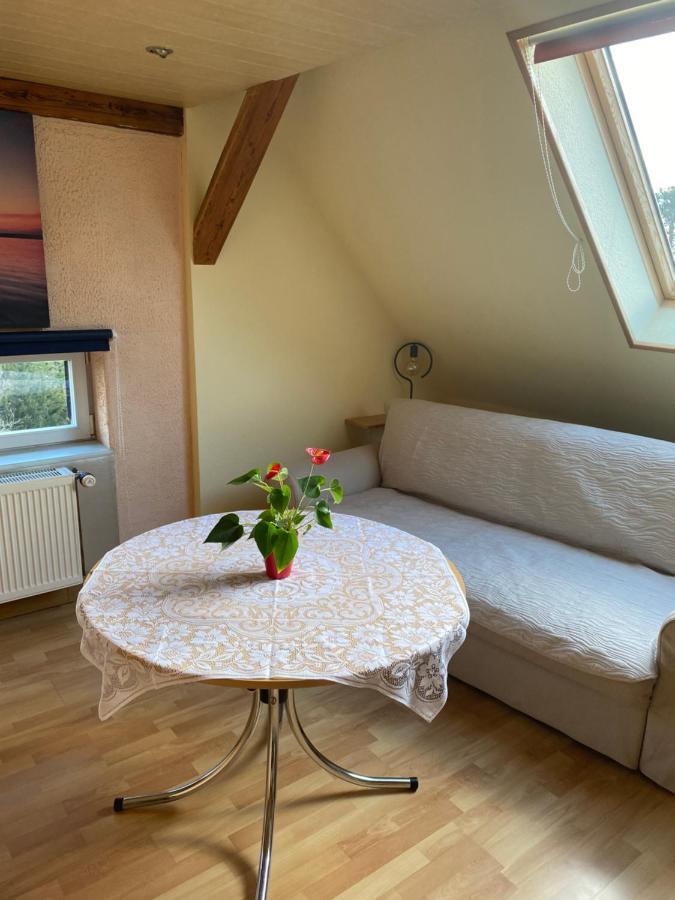 Helles Und Charmantes Loft Mit Herrlichem Blick Дрезден Экстерьер фото